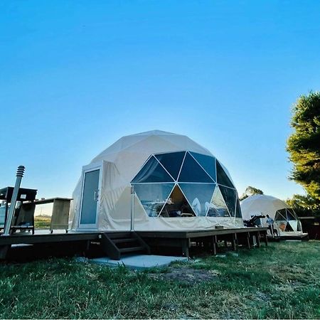 Hillview Farmstay Gundagai Exterior photo