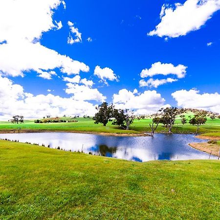 Hillview Farmstay Gundagai Exterior photo
