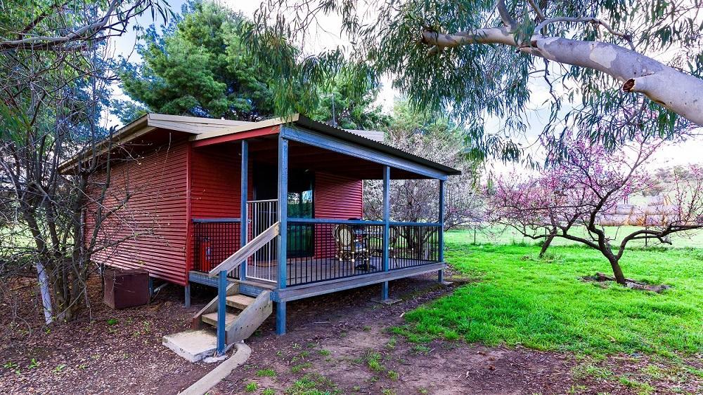 Hillview Farmstay Gundagai Exterior photo