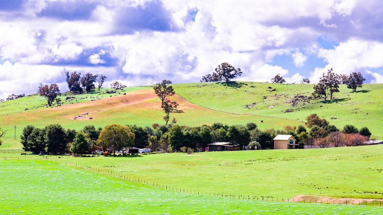 Hillview Farmstay Gundagai Exterior photo
