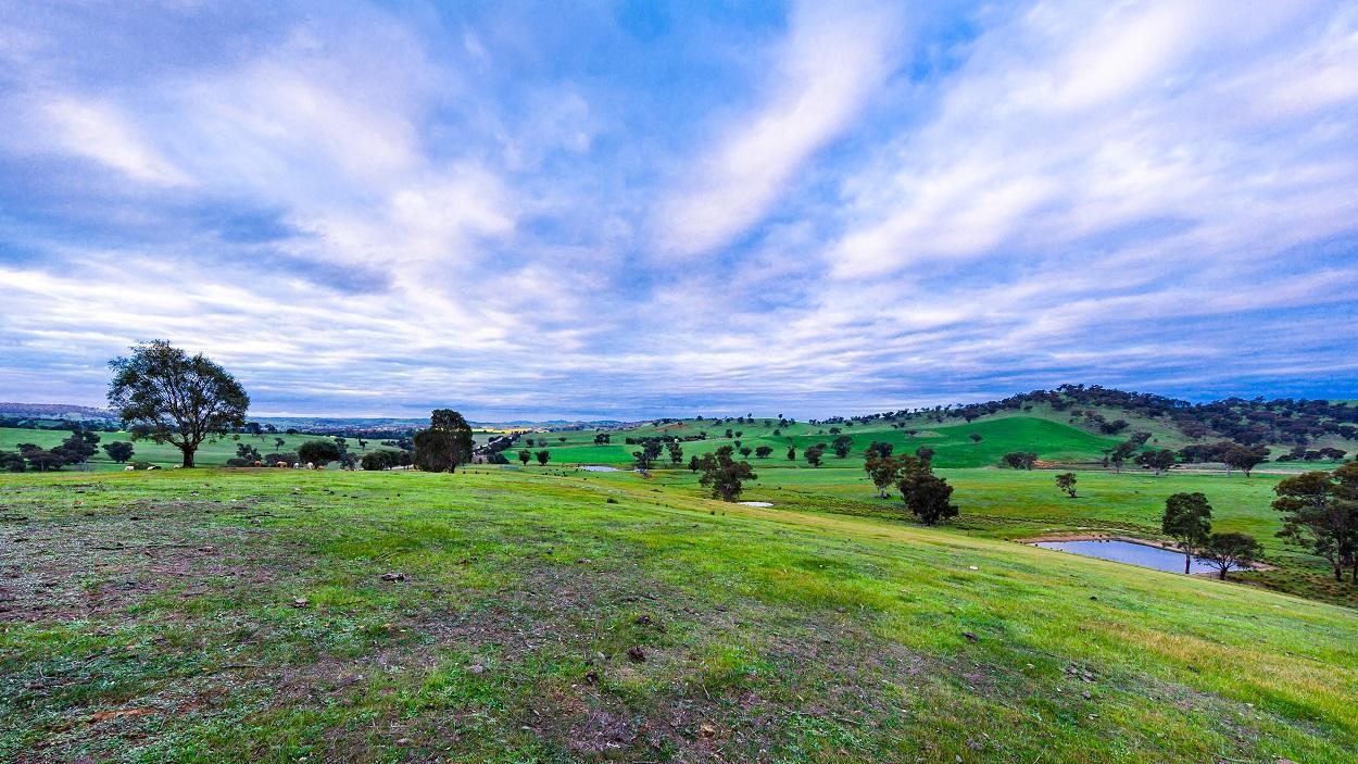 Hillview Farmstay Gundagai Exterior photo
