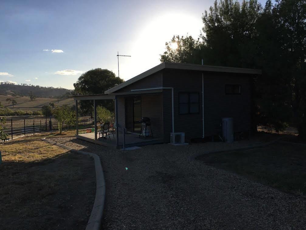 Hillview Farmstay Gundagai Exterior photo
