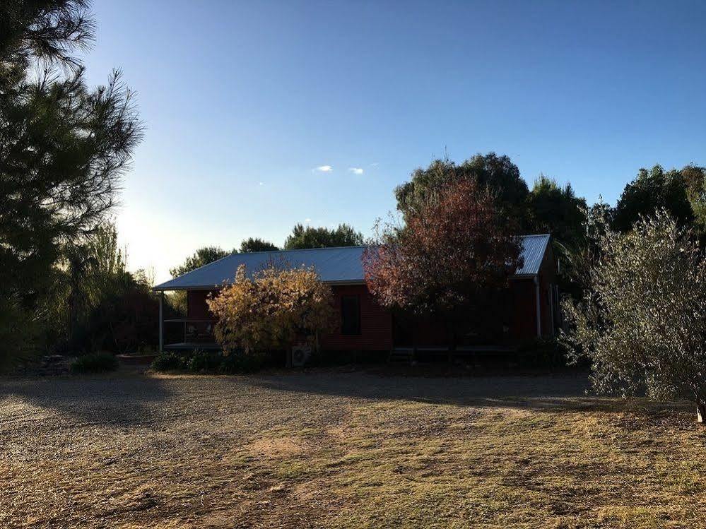 Hillview Farmstay Gundagai Exterior photo