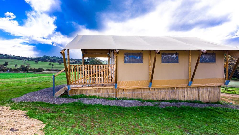 Hillview Farmstay Gundagai Exterior photo