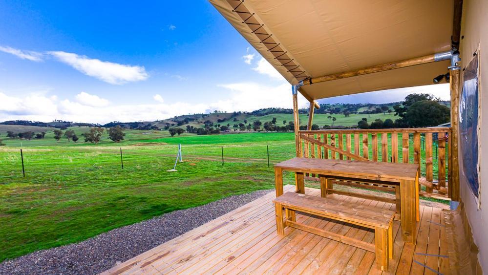 Hillview Farmstay Gundagai Exterior photo