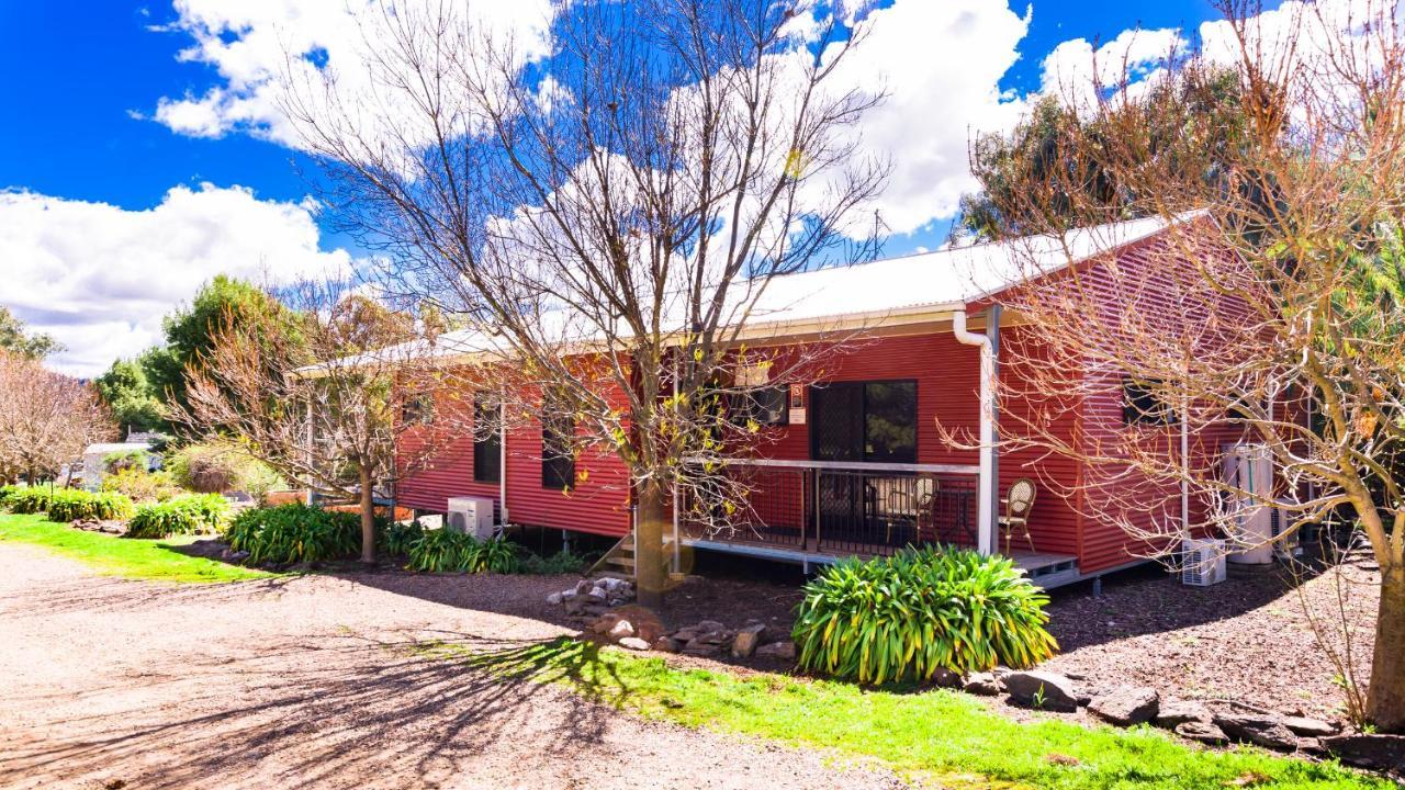 Hillview Farmstay Gundagai Exterior photo